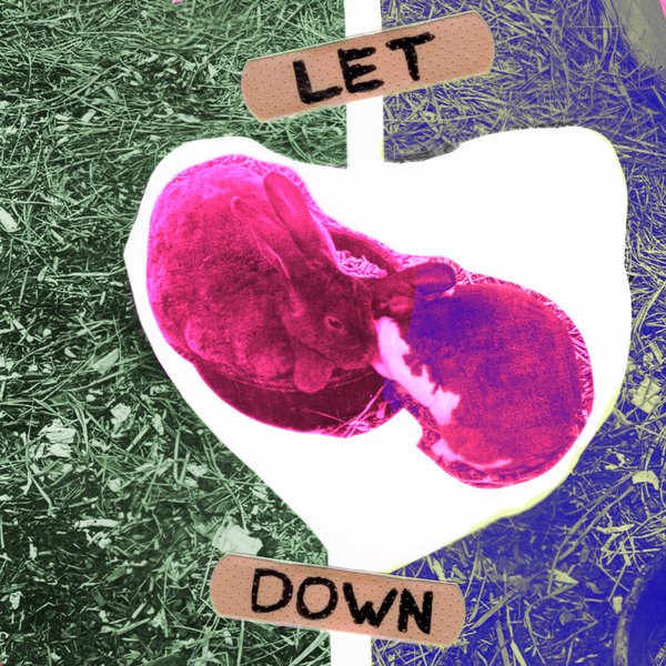 let-down-cover-lo-res