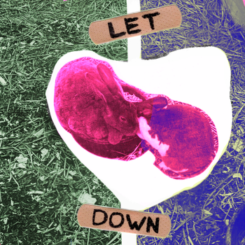 let-down-cover-lo-res